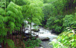 杭州臨安旅游_白水澗景色絕美農家歡樂