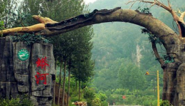 山西晉城旅游_蟒河農家樂推薦